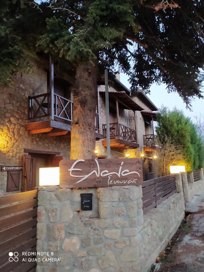 Guesthouse Elaia Synikia Mesi Trikalon Exterior foto