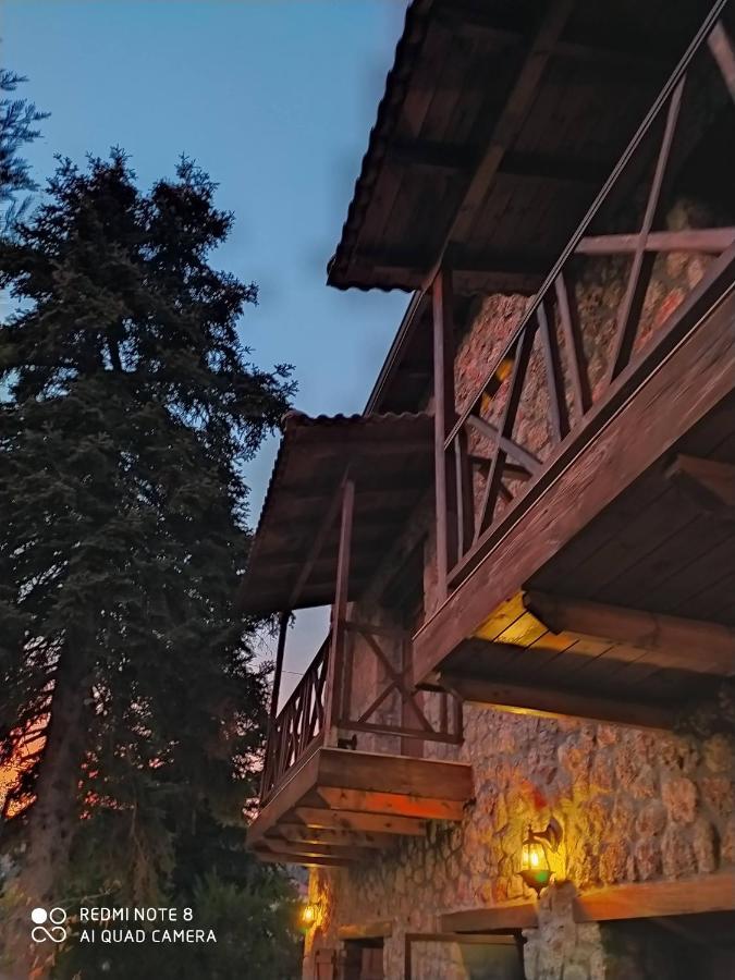 Guesthouse Elaia Synikia Mesi Trikalon Exterior foto