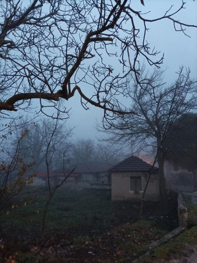 Guesthouse Elaia Synikia Mesi Trikalon Exterior foto