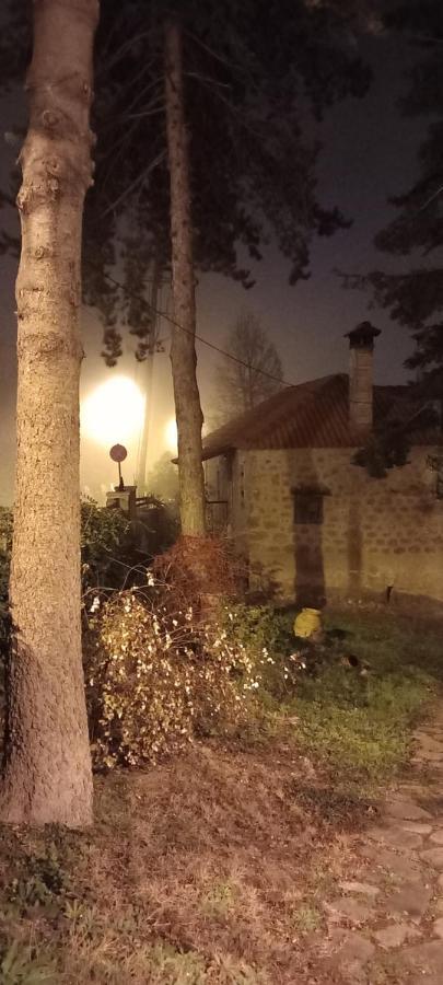 Guesthouse Elaia Synikia Mesi Trikalon Exterior foto