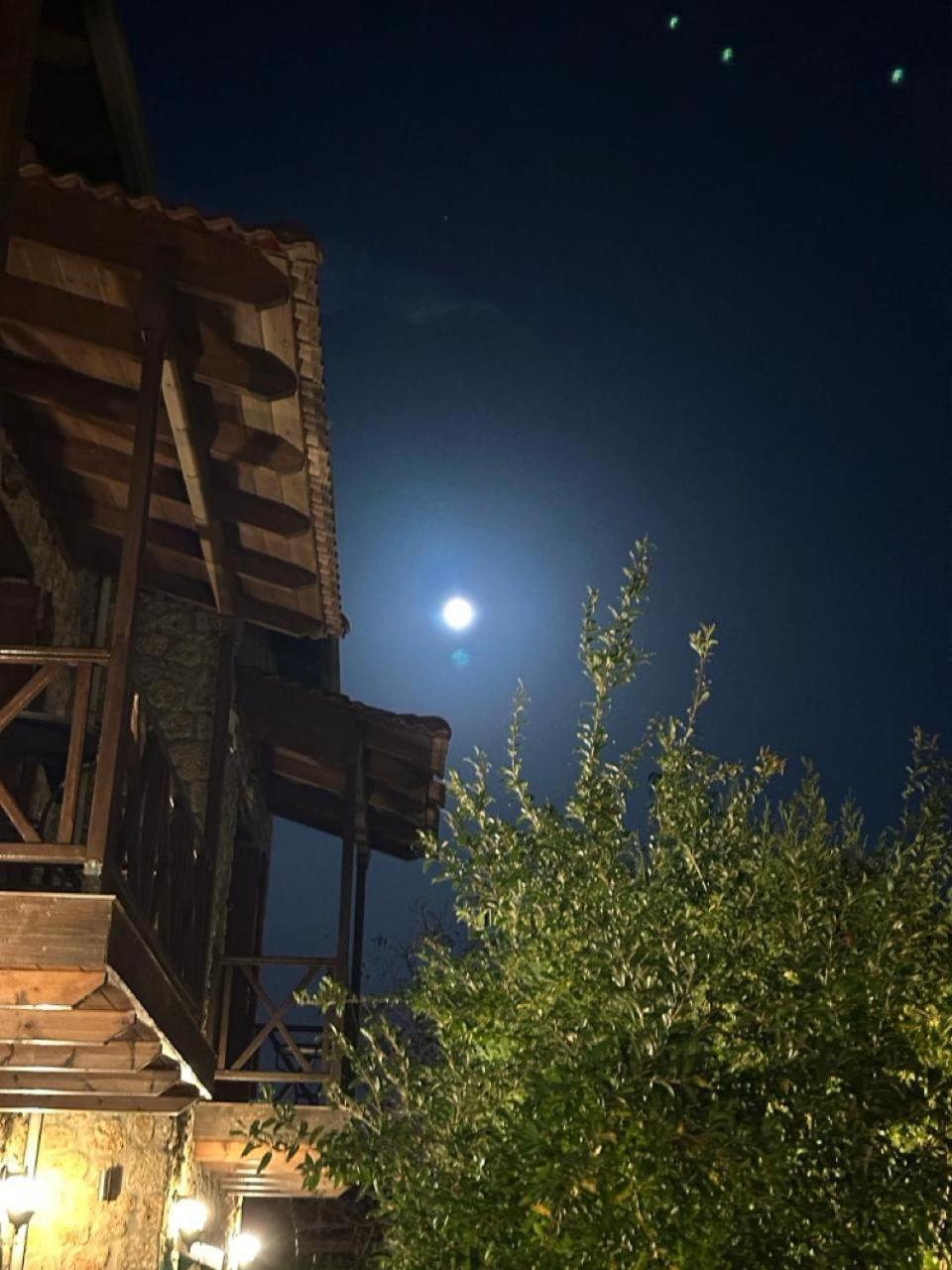 Guesthouse Elaia Synikia Mesi Trikalon Exterior foto