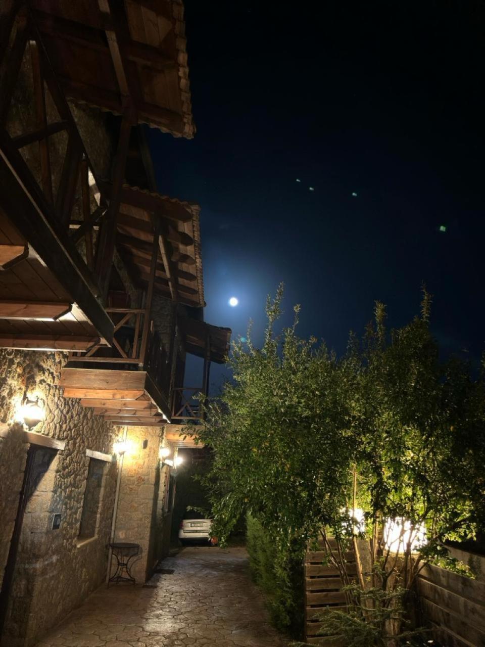 Guesthouse Elaia Synikia Mesi Trikalon Exterior foto